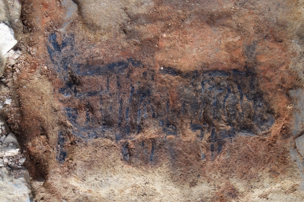 부여 화지산 유적 출토(목탄).