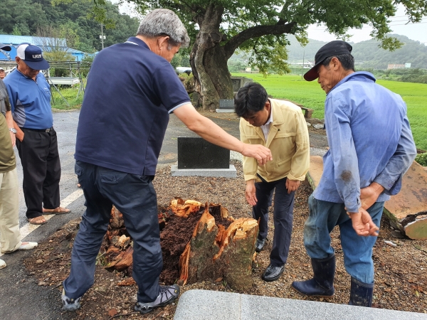 박정현 군수 태풍 피해현장 점검 장면
