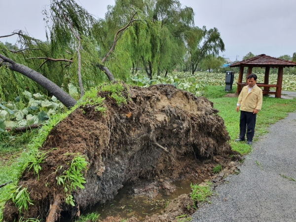 박정현 군수 태풍 피해현장 점검 장면