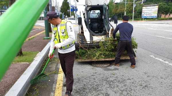 태풍피해 복구 사진(도로변 쓰러진 나무와 잔존물 제거)