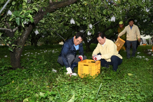 황선봉 군수와 농림부 차관보가 과수농가를 방문한 모습