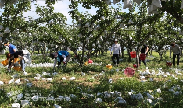 천안시의회, 태풍 링링 피해농가 방문
