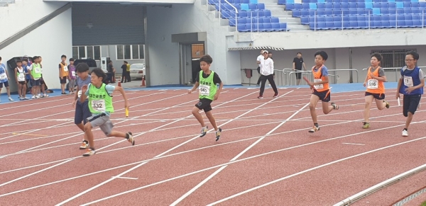 교육감기 육상경기대회 모습