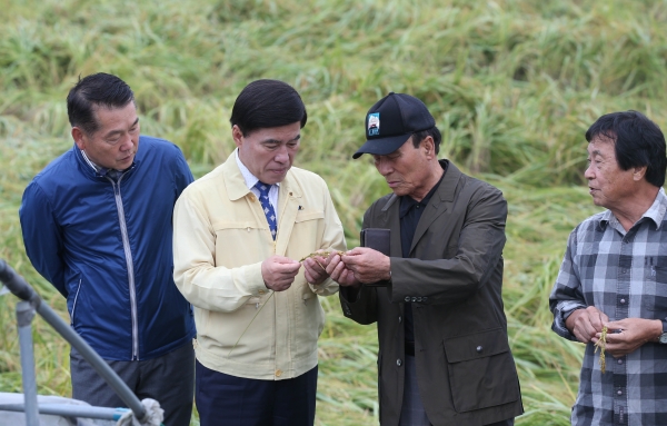 24일 황인호 동구청장이 동구 신하동을 비롯한 오동선 일원 벼 도복피해 현장을 방문해 피해 농가를 위로하고 있다