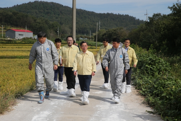 서천군, 아프리카 돼지열병 유입 차단에 총력