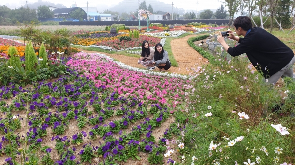 금산인삼축제 준비 척척-꽃동산