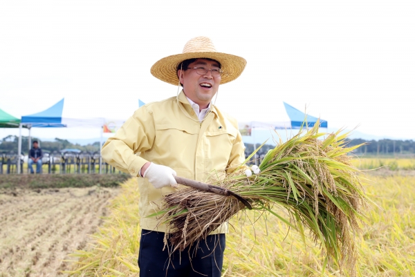 맹정호 서산시장이 벼를 수확하고 있다.
