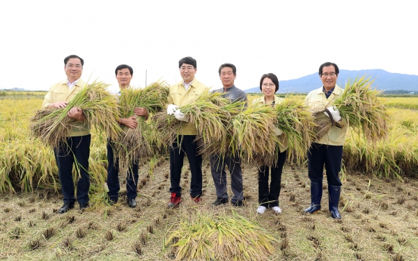 서산시, 벼 베기 시연 행사 개최