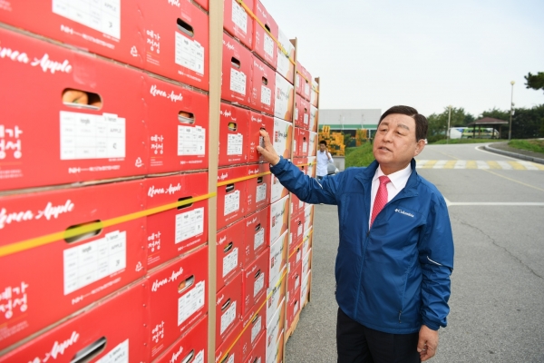 황선봉 군수가 예산황토사과 수출 출하식에 참석해 사과를 살펴보고 있다