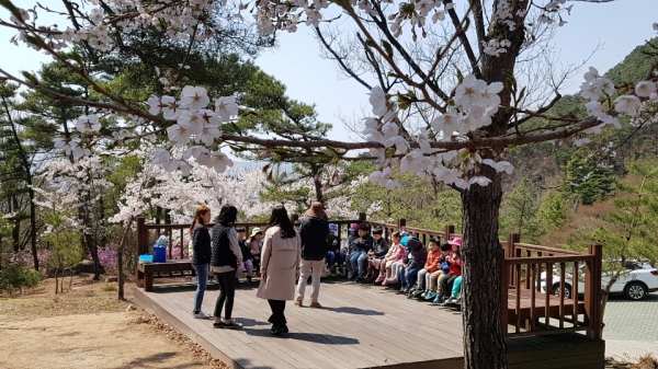 숲해설 무료서비스
