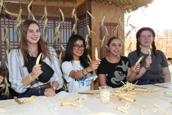 인삼축제 고공행진-인삼깎기.