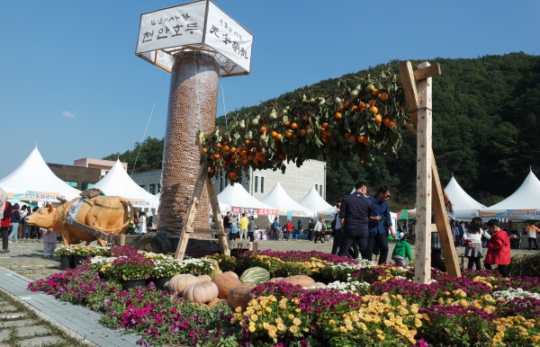 지난해 천안호두축제 모습