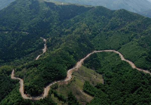 2020년 선도 산림경영단지 공모 선정-사업대상지 모습