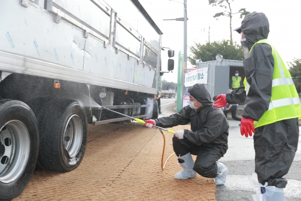 오세현 아산시장이 아프리카돼지열병 소독방역을 직접하고 있다.