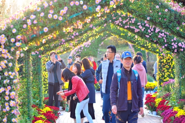 지난해 국화전시회장 모습