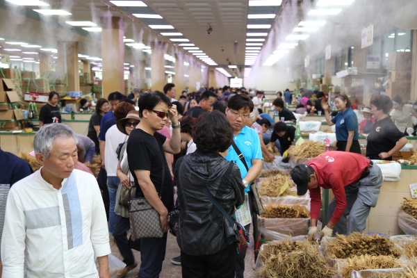 인삼축제 성공이유-인삼쇼핑