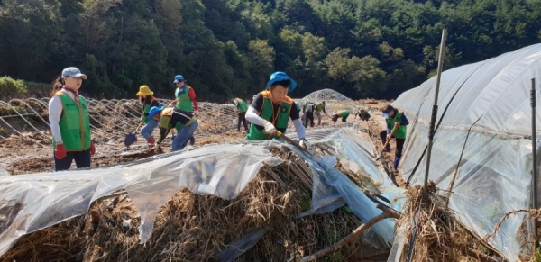 계룡시자율방재단 태풍피해지역 응급복구지원