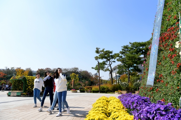 지난해 시민공원 국화전시