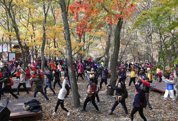 지난해 성주산 단풍길 걷기대회