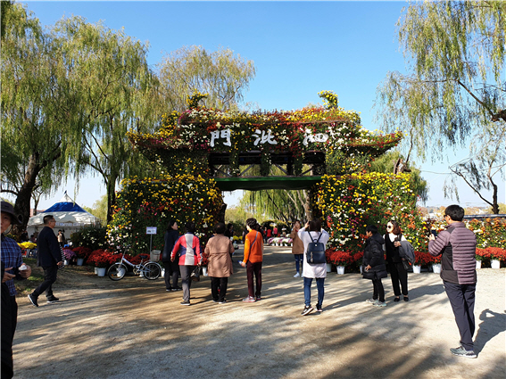 작년 제15회 국화전시회 장면