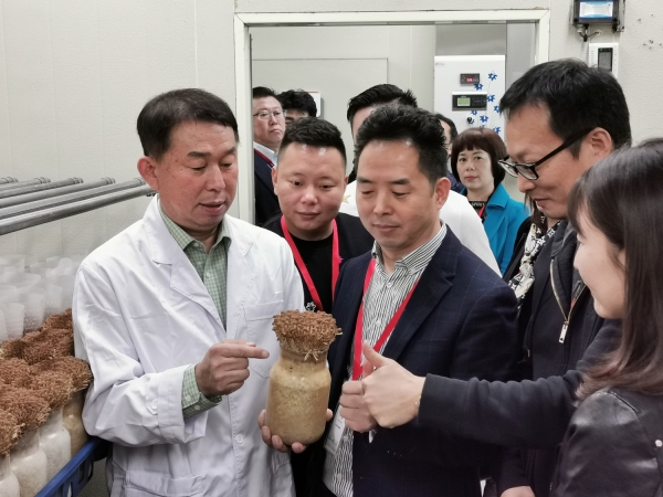 쓰촨성 훠궈협회 관계자 갈색 팽이버섯 현장 방문