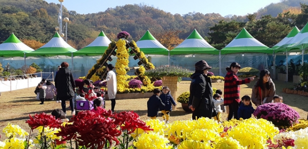 지난 2018년 아산시국화전시회