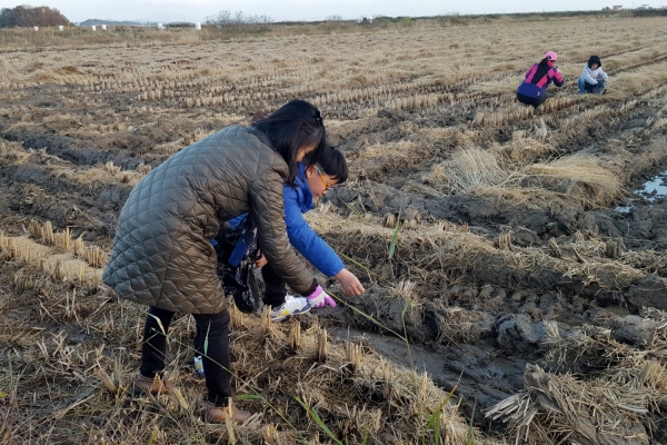 지난 2018년 천수만 철새기행전 모습