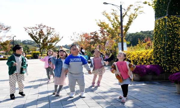 국화전시회 모습