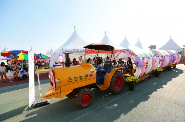 지난 14회 예산황토사과축제에 설치된 예산 꿀사과 체험마차