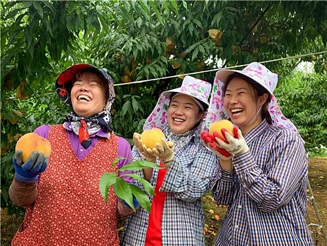 제13회 농촌경관사진공모전에서 최우수상을 수상한 대학생 이세나씨의 복숭아야 복덩이야 11월15일까지 수서역 세종 부산역에서 전시된다