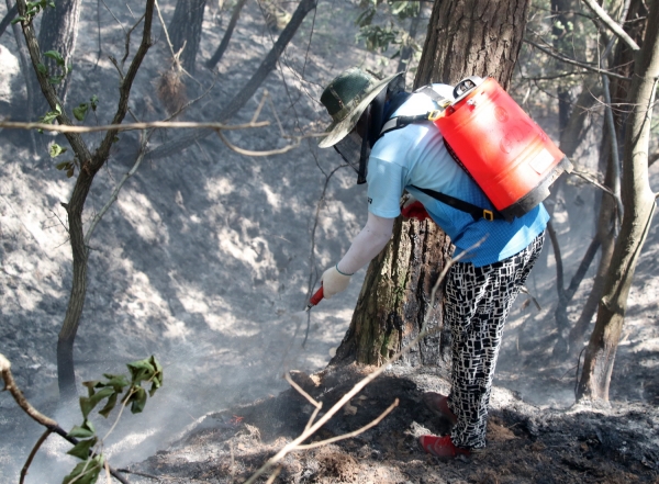 올해 원북면 이곡리 산불 진화 모습.