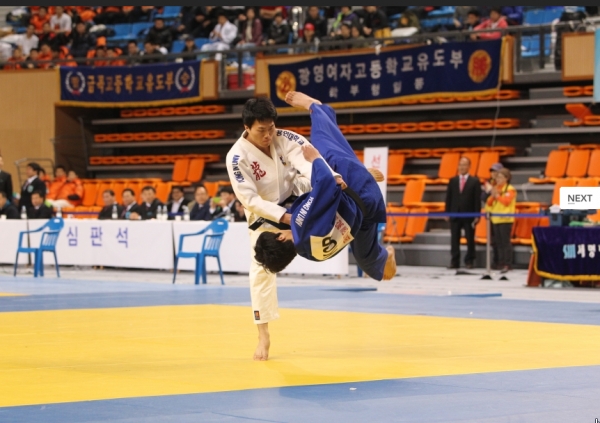 지난 2017년 보령에서 열린 전국 유도대회 장면.