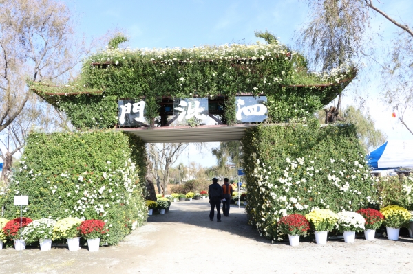 국화전시회 전경