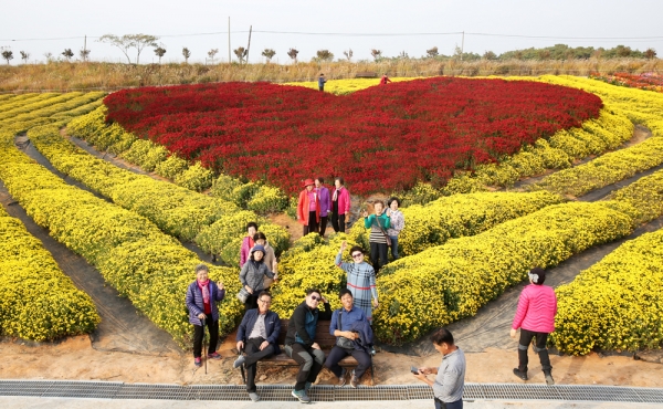 18만명이 다녀간  지난 2018년 서산국화축제 모습