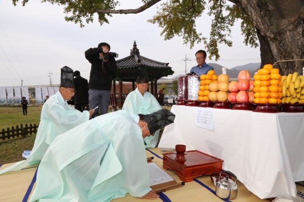 요광리 은행나무 축제 행사 모습