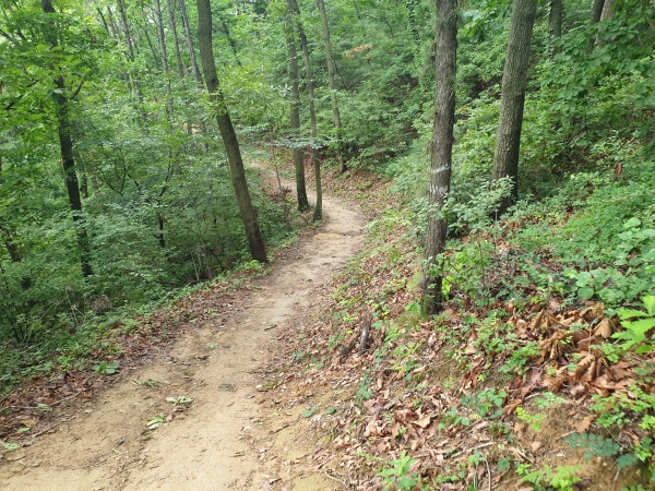 무장애 나눔길 조성예정지