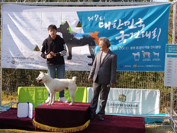 ‘한남이’ 대한민국 국견 아름다움 대상 수상