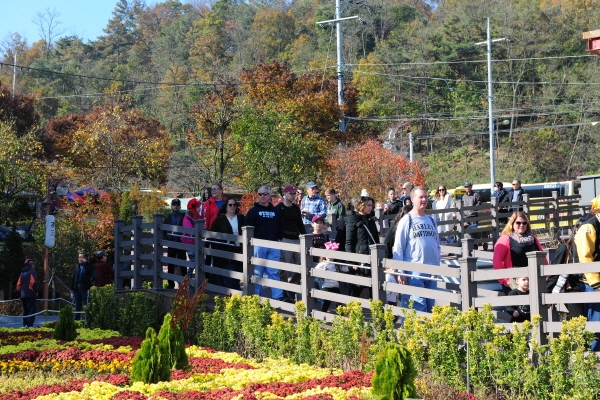 평택미군부대 군인과 가족 200여명이 예당호 출렁다리를 방문한 모습