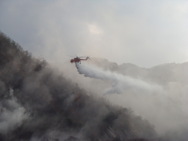 가을철 산불방지 종합대책/ 11월 1일부터 12월 15일까지 가을철 산불조심기간으로 설정