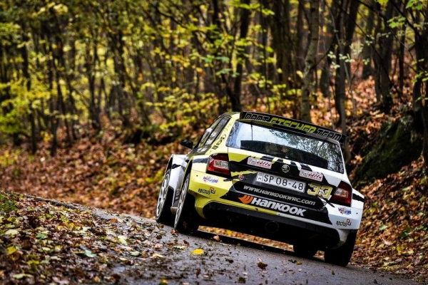 2019 유러피언 랠리 챔피언십 투란 프리짓 선수 차량