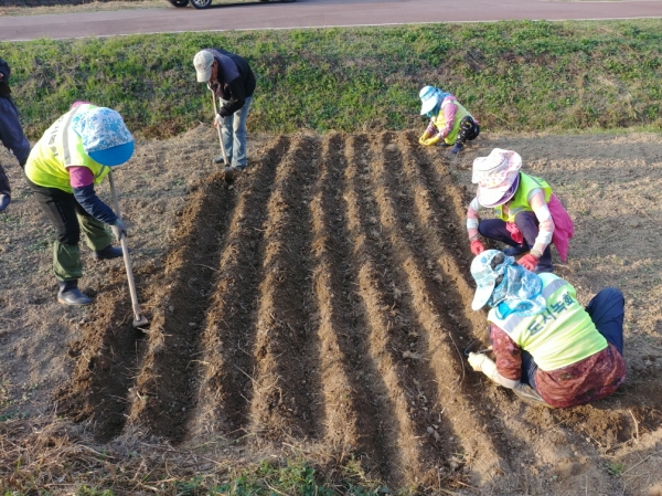 정안천생태공원 준비 작업 진행 모습
