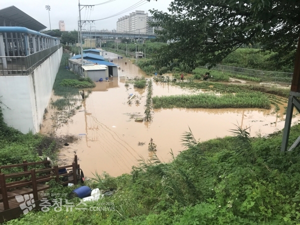 2017년 7월에 집중호우로 물에 잠긴 조치원읍 남리 일원
