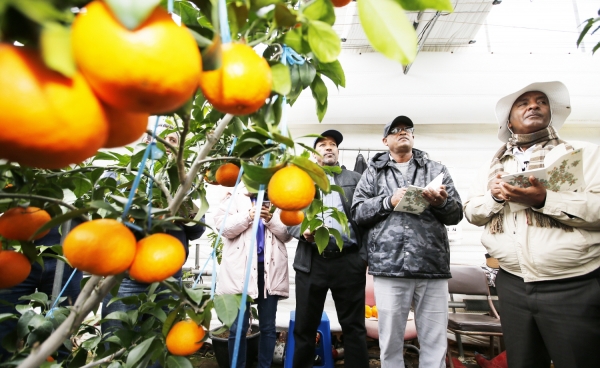 아람농원을 찾은 에티오피아 비정부기구 EOC-DICAC 회원 모습.