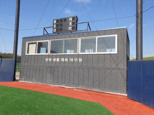 천안생활체육 야구장 모습