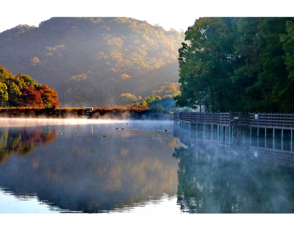 금상-오백환 (입암 저수지 물안개)