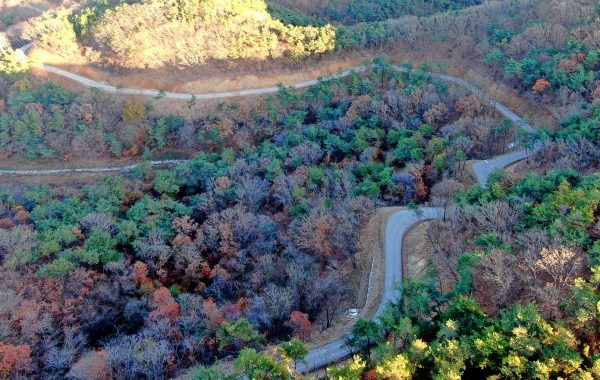 당진 삼각산 임도 모습