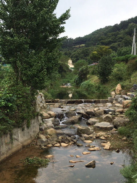 정안면 쌍달리 달원달동천
