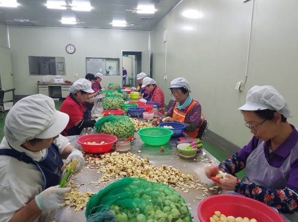 지난 노인일자리 운영장면