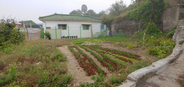 빈집정비로 조성된 마을텃밭