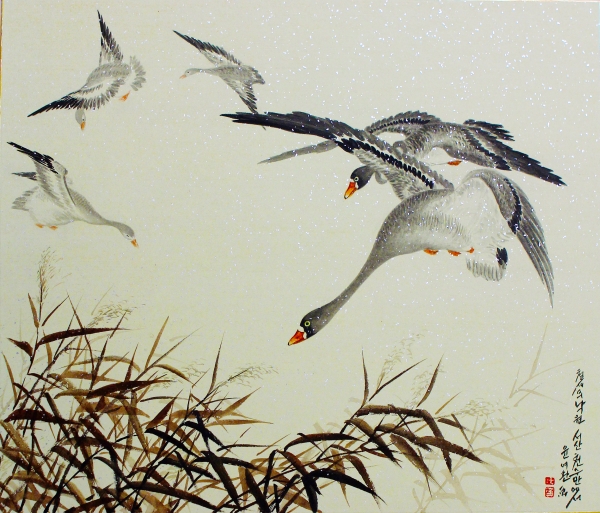 윤여환 지도교수의 '철새가 그리는 풍경, 천수만'. (공익광고  TJB 철새보호캠페인 출연작)